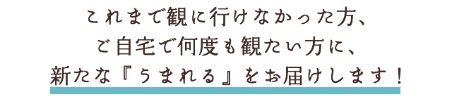 あらたな生まれるをお届けします